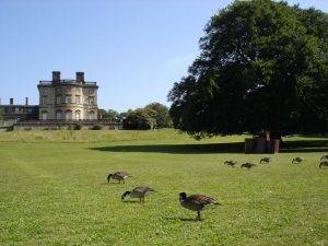 Bretton Hall and grounds2_JPG_jpg